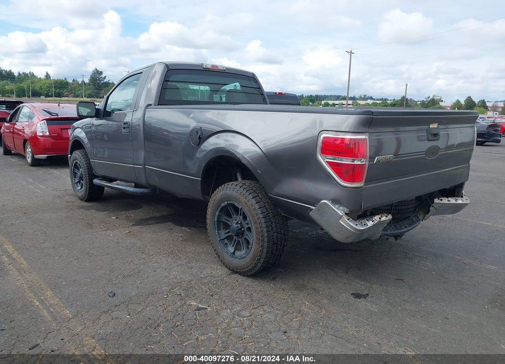 2010 FORD F-150 XL/XLT VIN: 1FTMF1C8XAKE65804