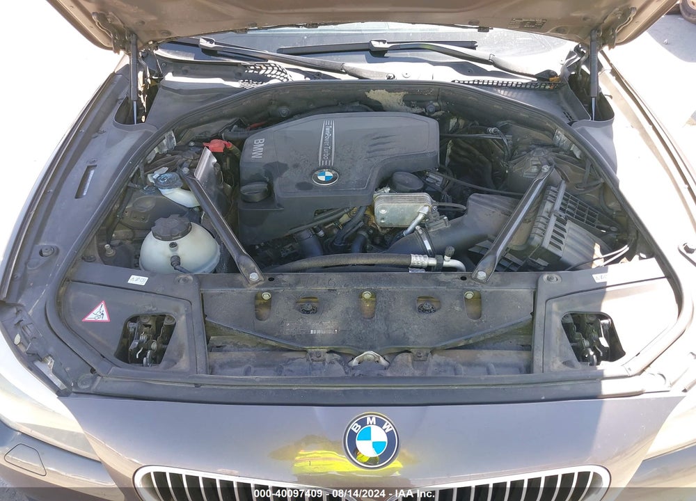2013 BMW 528I VIN: WBAXG5C53DD231226
