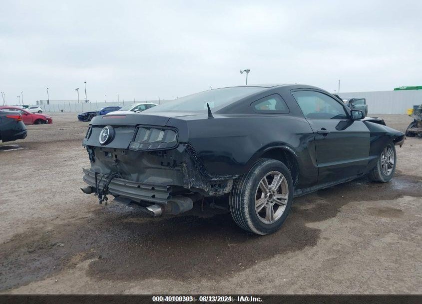2014 FORD MUSTANG VIN: 1ZVBP8AM8E5311624