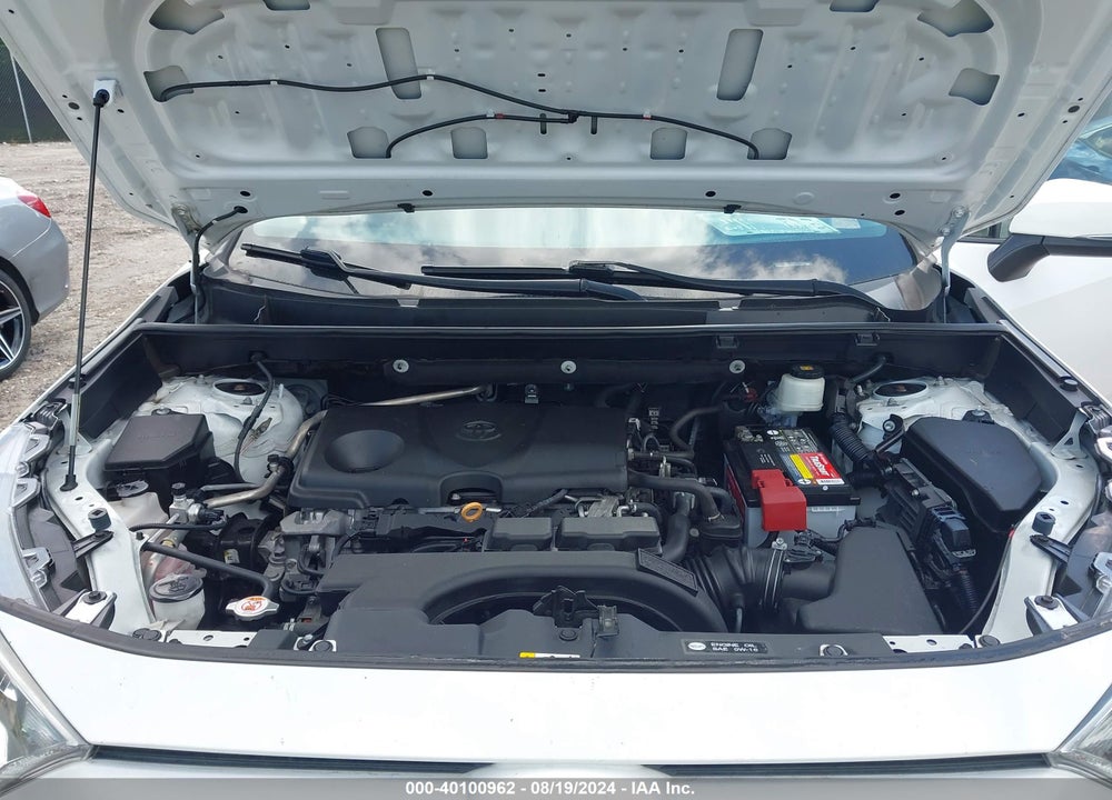 2019 TOYOTA RAV4 XLE VIN: 2T3W1RFV8KW005041
