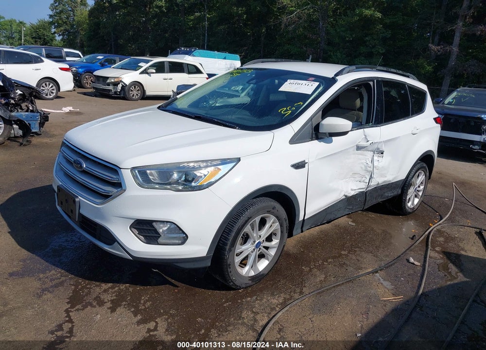 2019 FORD ESCAPE VIN: 1FMCU0HD4KUB95651