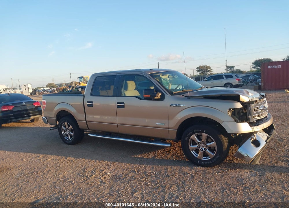 2013 FORD F-150 XLT VIN: 1FTFW1CTXDFD81590