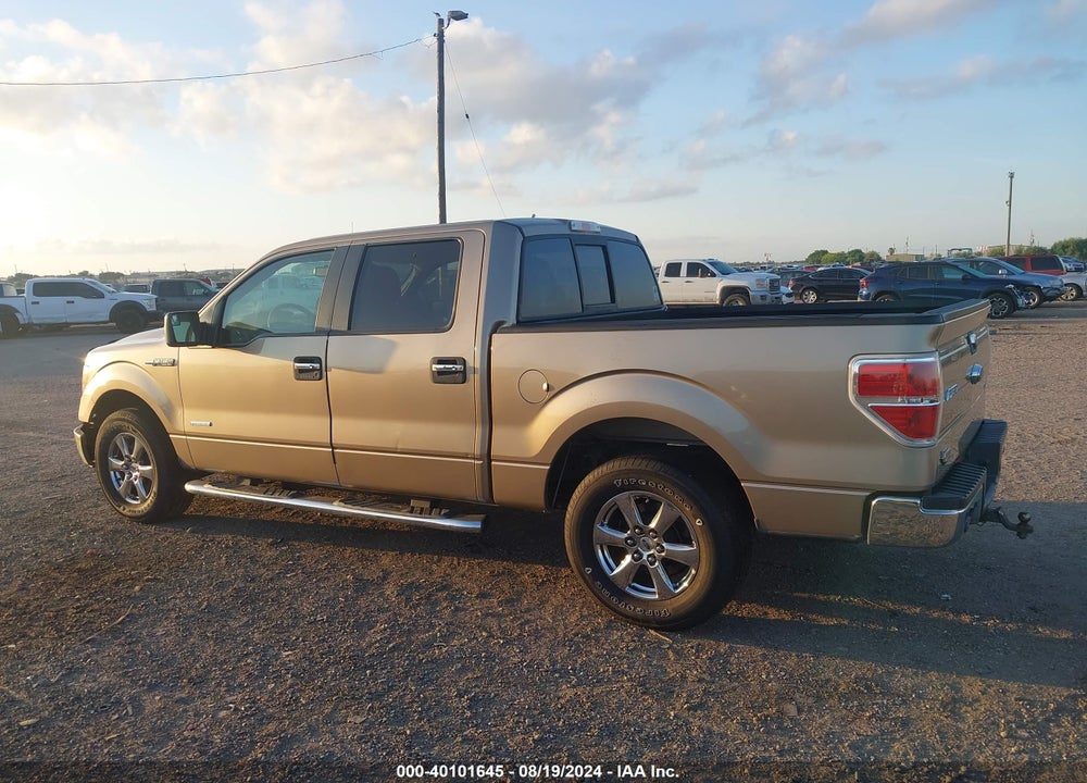 2013 FORD F-150 XLT VIN: 1FTFW1CTXDFD81590