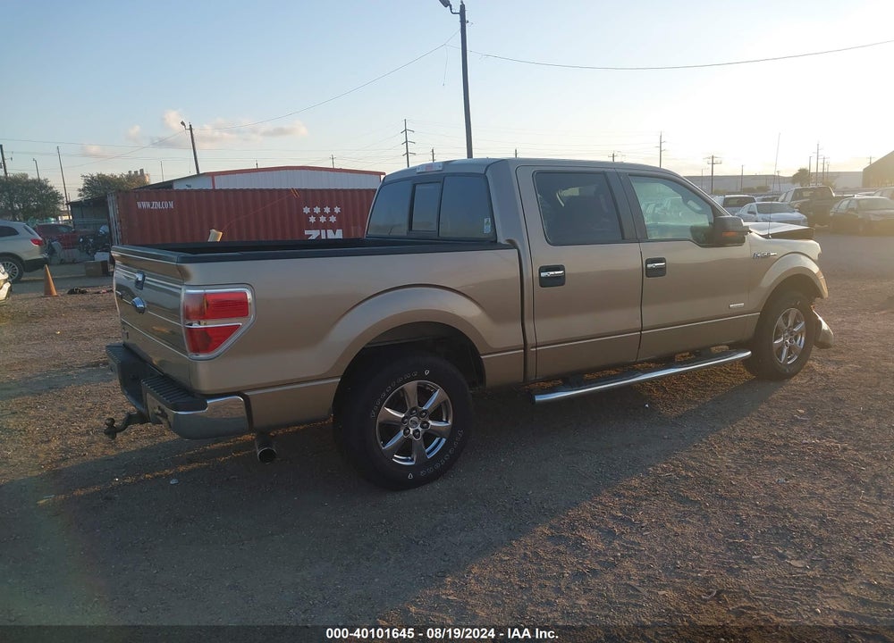 2013 FORD F-150 XLT VIN: 1FTFW1CTXDFD81590