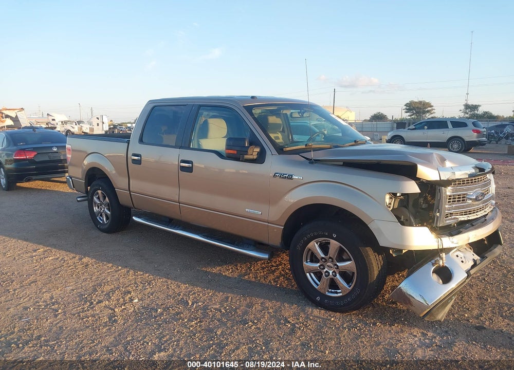 2013 FORD F-150 XLT VIN: 1FTFW1CTXDFD81590