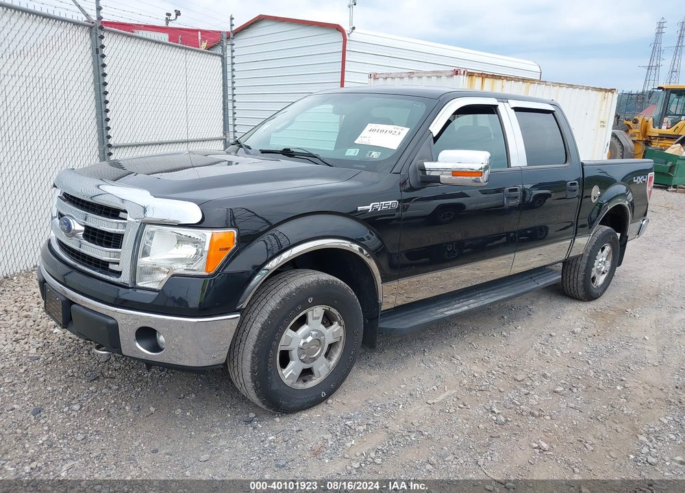 2013 FORD F-150 XLT VIN: 1FTFW1EF6DKF21794
