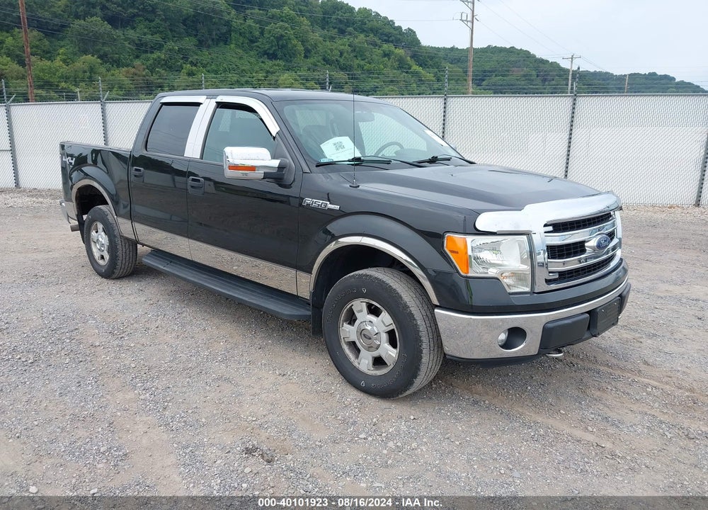 2013 FORD F-150 XLT VIN: 1FTFW1EF6DKF21794