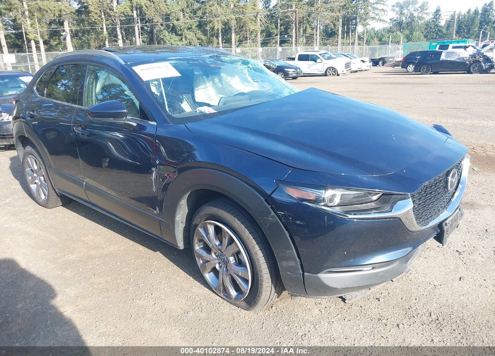 2020 MAZDA CX-30 PREMIUM PACKAGE VIN: 3MVDMBEM9LM134373