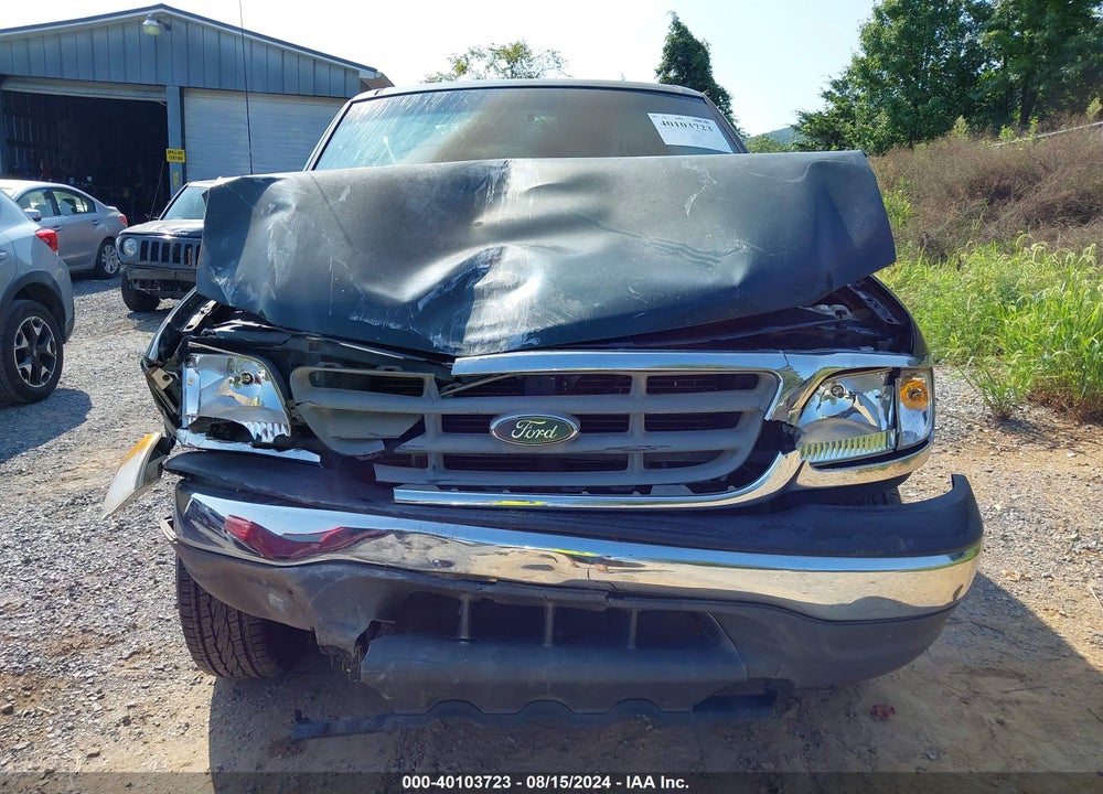 2002 FORD F-150 XL/XLT VIN: 1FTRF18262NB96534