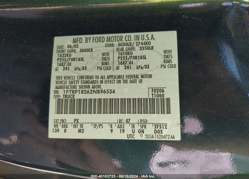 2002 FORD F-150 XL/XLT VIN: 1FTRF18262NB96534