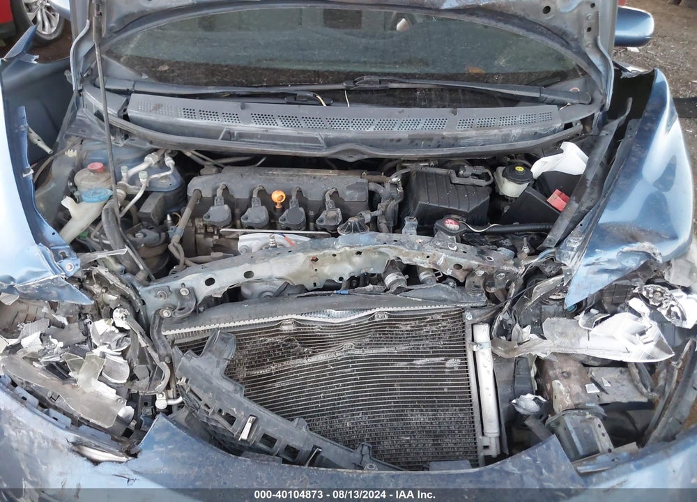 2010 HONDA CIVIC VP VIN: 19XFA1F3XAE035734
