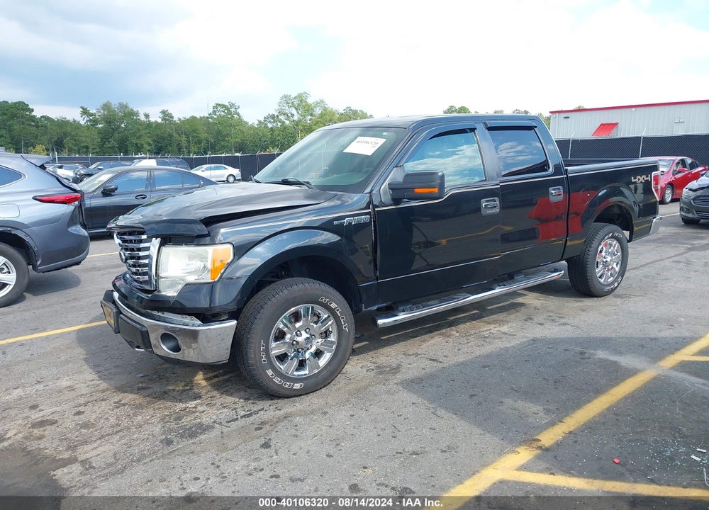 2012 FORD F-150 XLT VIN: 1FTFW1EF2CKD08839