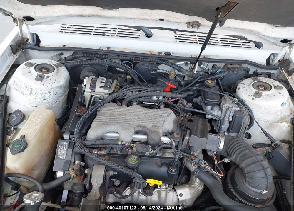 1994 BUICK CENTURY SPECIAL VIN: 1G4AG55M0R6465764