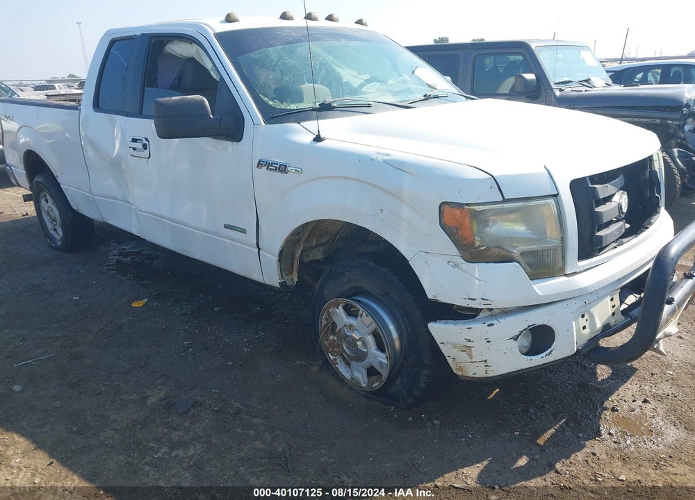 2012 FORD F-150 VIN: 1FTFX1ET3CFA59690