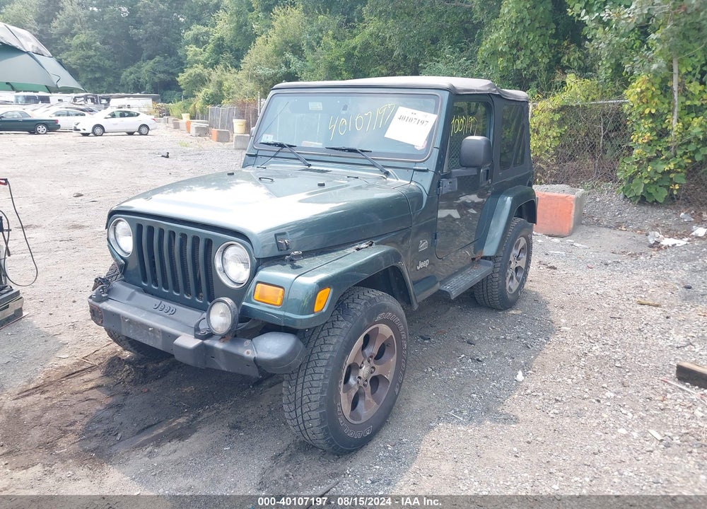 2003 JEEP WRANGLER SAHARA VIN: 1J4FA59S33P376738