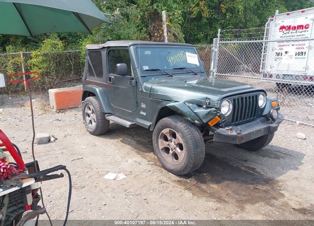 2003 JEEP WRANGLER SAHARA VIN: 1J4FA59S33P376738