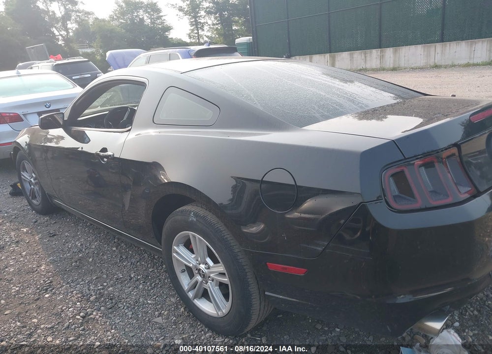 2013 FORD MUSTANG V6 VIN: 1ZVBP8AM0D5265270