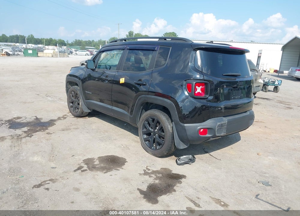 2017 JEEP RENEGADE VIN: ZACCJBBB3HPG63251