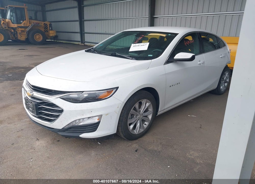 2019 CHEVROLET MALIBU LT VIN: 1G1ZD5ST8KF175217