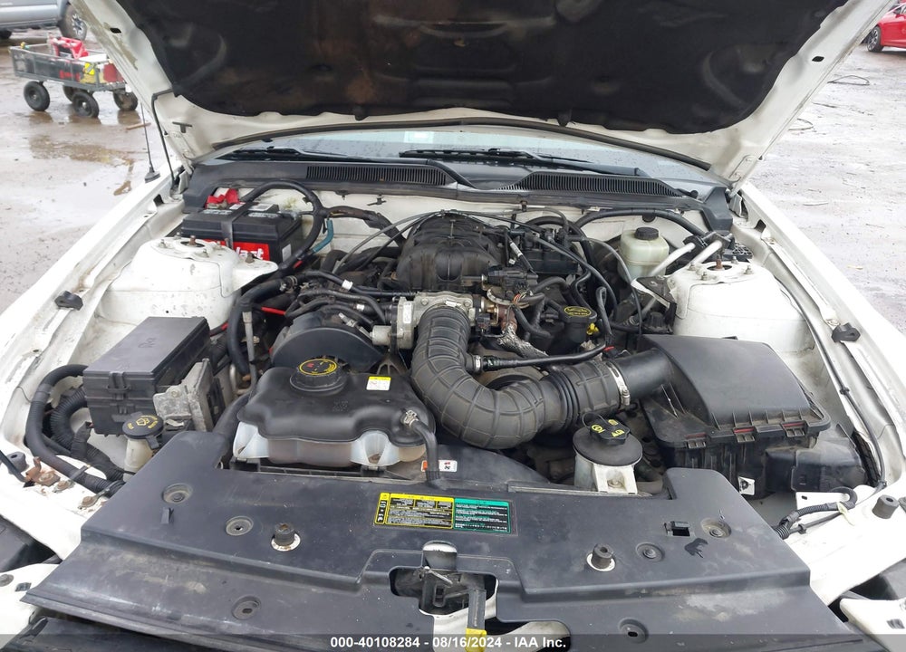 2005 FORD MUSTANG V6 DELUXE/V6 PREMIUM VIN: 1ZVFT80N855179164