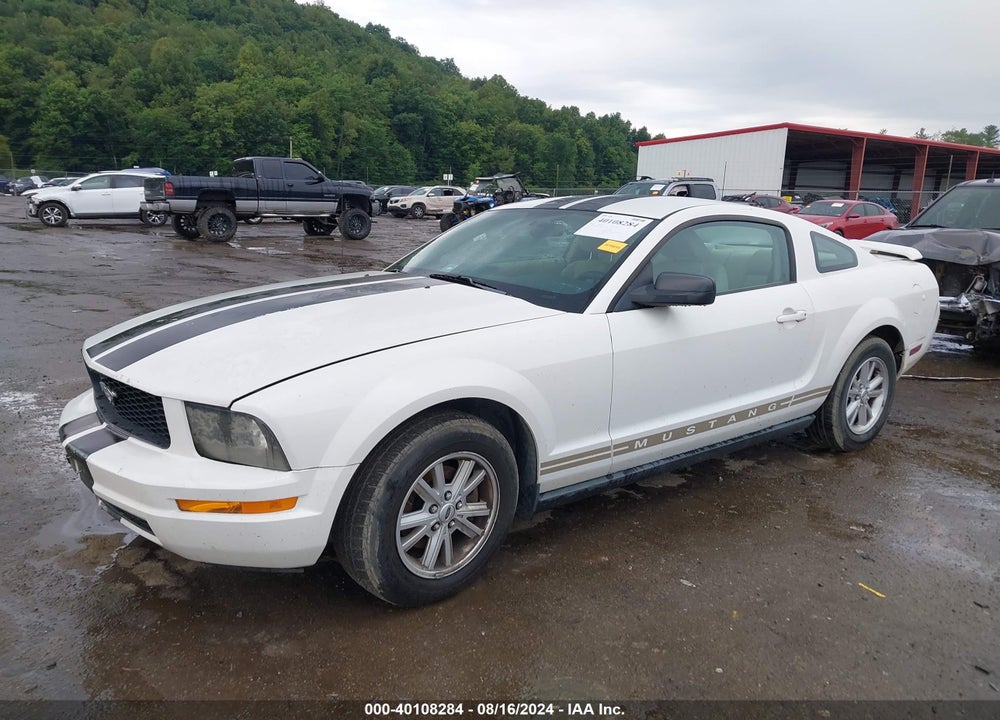 2005 FORD MUSTANG V6 DELUXE/V6 PREMIUM VIN: 1ZVFT80N855179164
