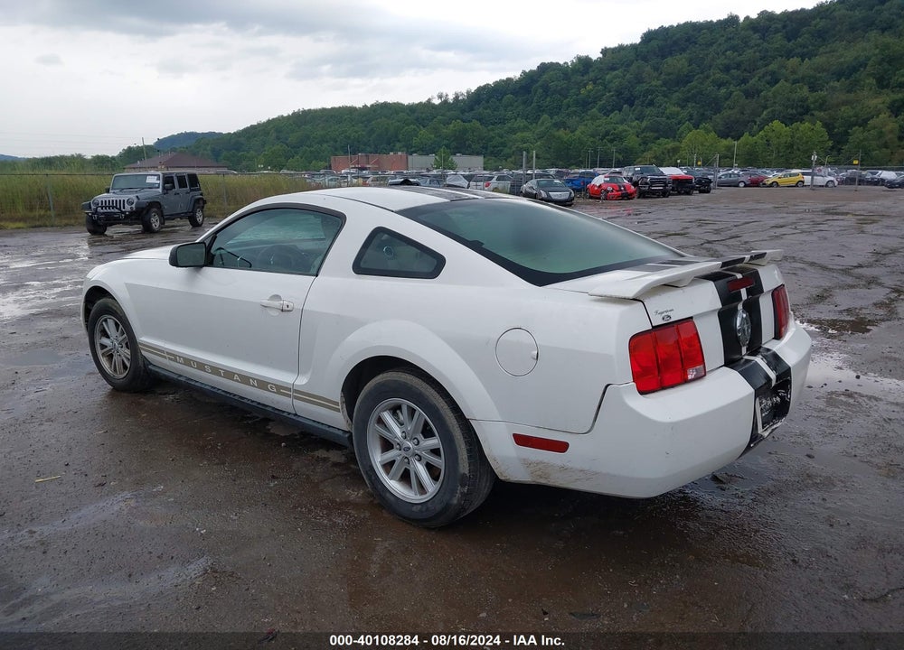 2005 FORD MUSTANG V6 DELUXE/V6 PREMIUM VIN: 1ZVFT80N855179164