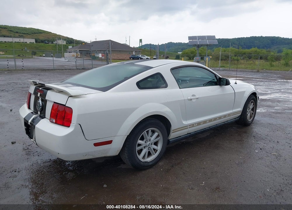 2005 FORD MUSTANG V6 DELUXE/V6 PREMIUM VIN: 1ZVFT80N855179164