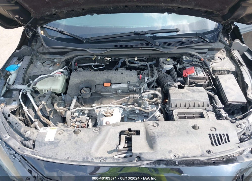 2019 HONDA CIVIC VIN: 2HGFC2F60KH552929