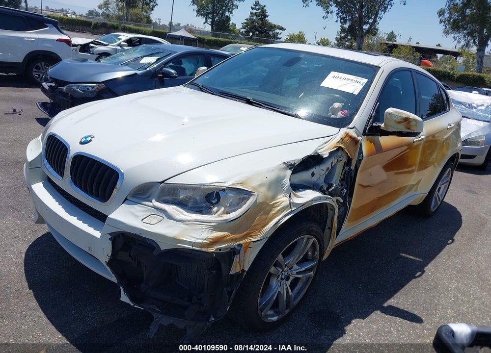 2013 BMW X6 M VIN: 5YMGZ0C50D0C40175