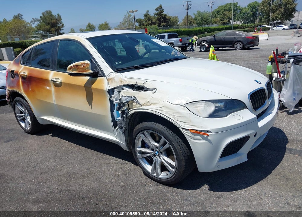 2013 BMW X6 M VIN: 5YMGZ0C50D0C40175