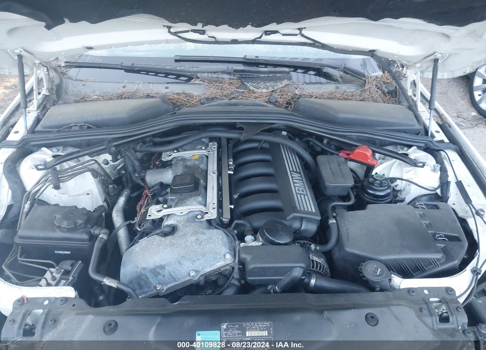 2006 BMW 525I VIN: WBANE53566CK84346