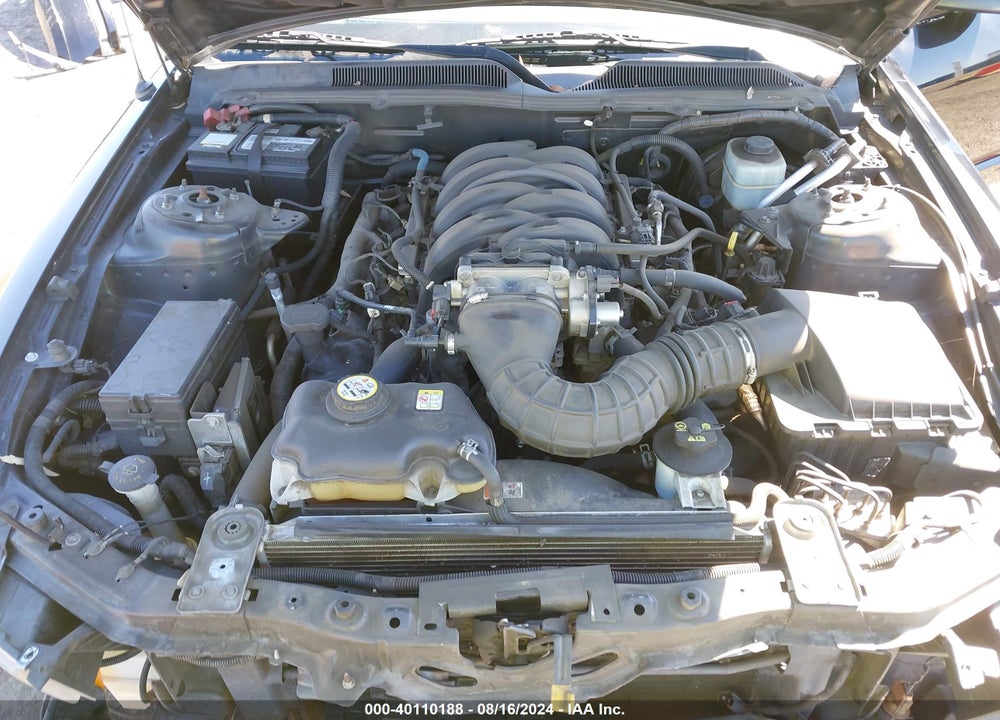 2005 FORD MUSTANG VIN: 1ZVFT82HX55151969