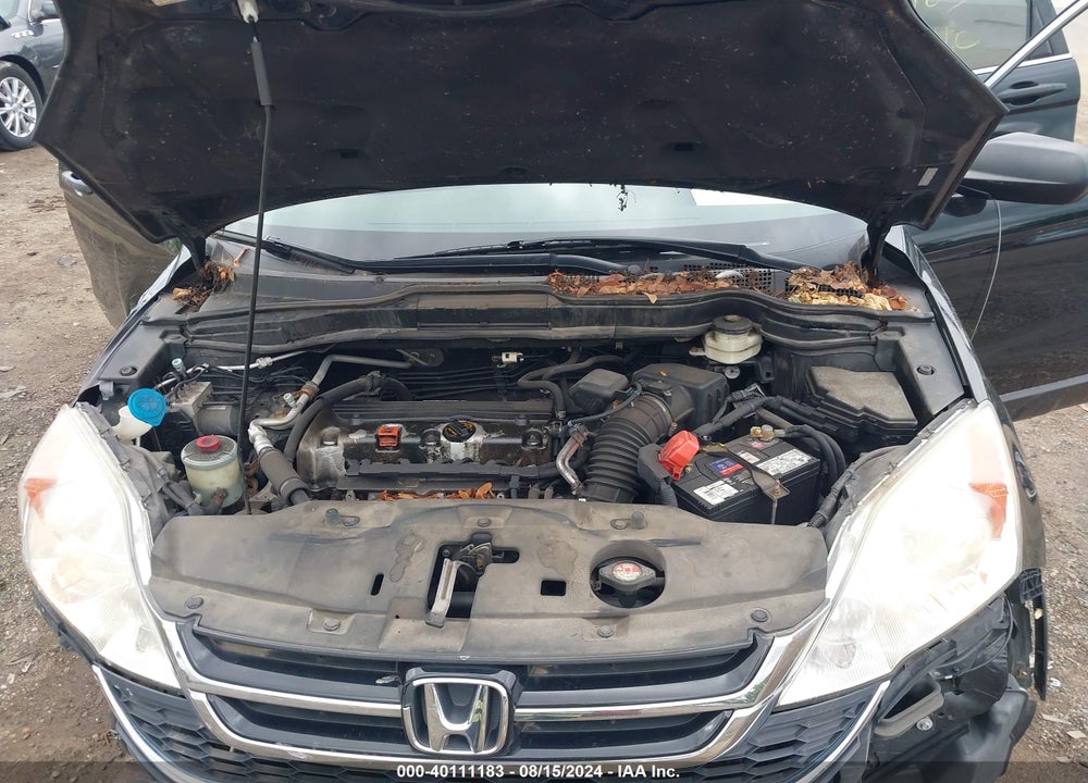 2010 HONDA CR-V EX VIN: 5J6RE4H51AL067152