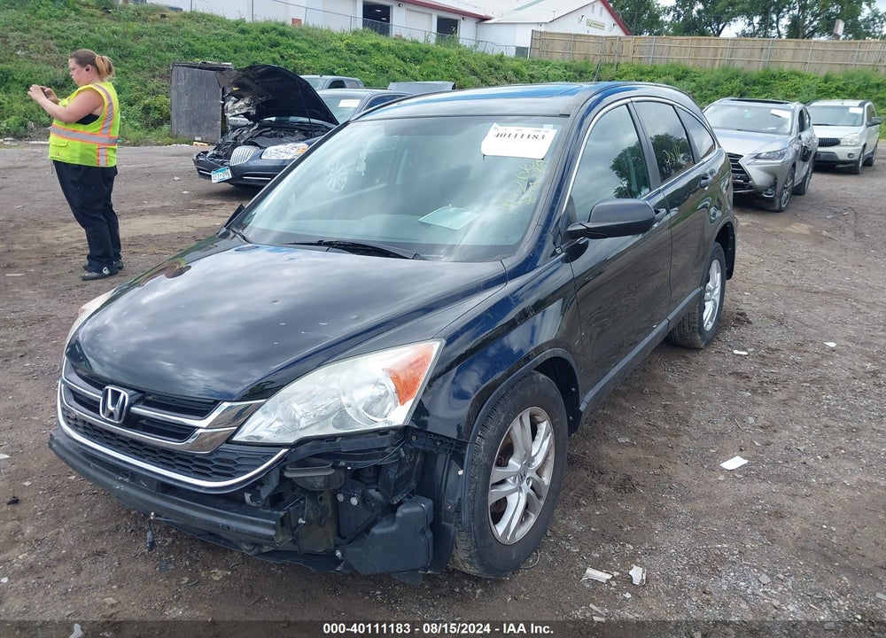 2010 HONDA CR-V EX VIN: 5J6RE4H51AL067152