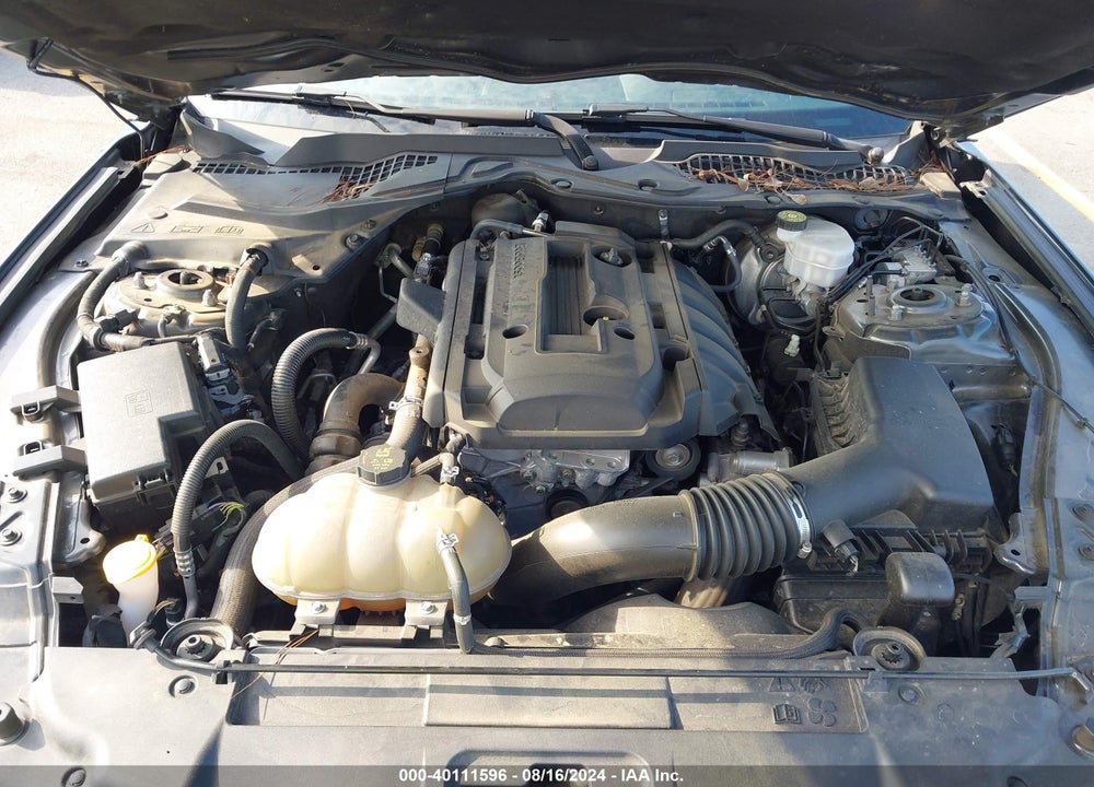 2019 FORD MUSTANG ECOBOOST VIN: 1FA6P8TH3K5166577