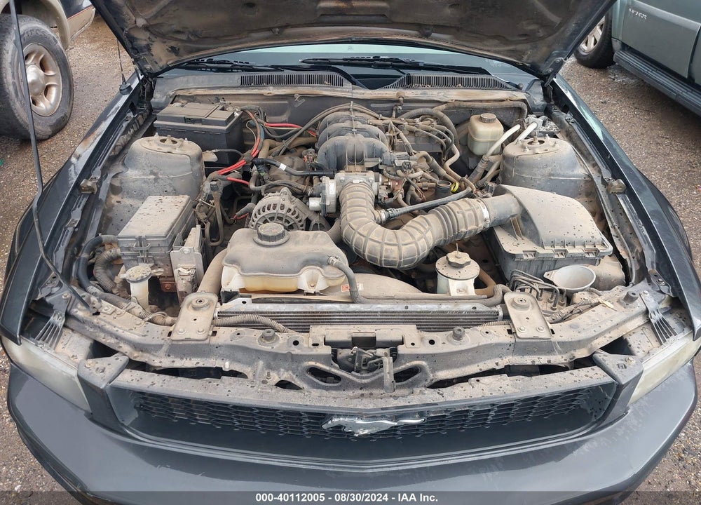 2008 FORD MUSTANG V6 DELUXE/V6 PREMIUM VIN: 1ZVHT84N585146064