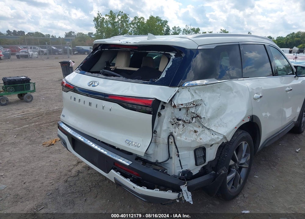 2022 INFINITI QX60 LUXE AWD VIN: 5N1DL1FS9NC342331