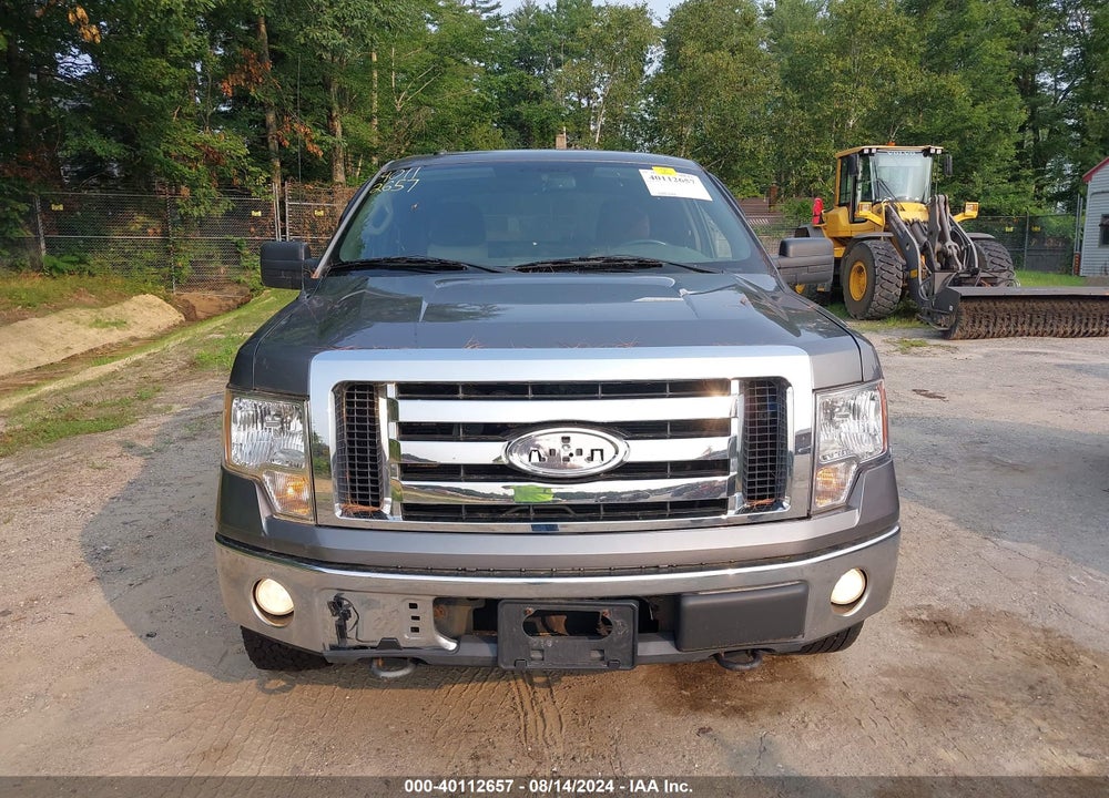 2009 FORD F-150 STX/XL/XLT VIN: 1FTRX14879FB36998