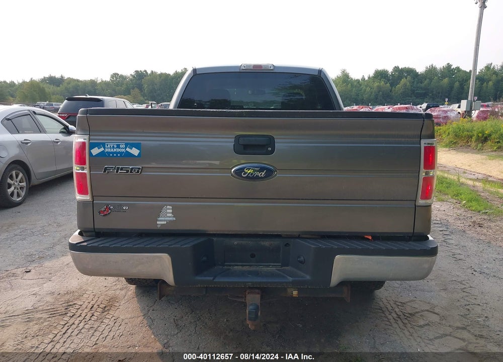 2009 FORD F-150 STX/XL/XLT VIN: 1FTRX14879FB36998