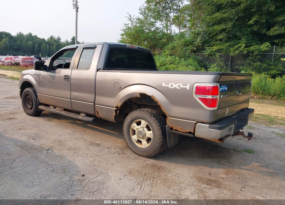 2009 FORD F-150 STX/XL/XLT VIN: 1FTRX14879FB36998