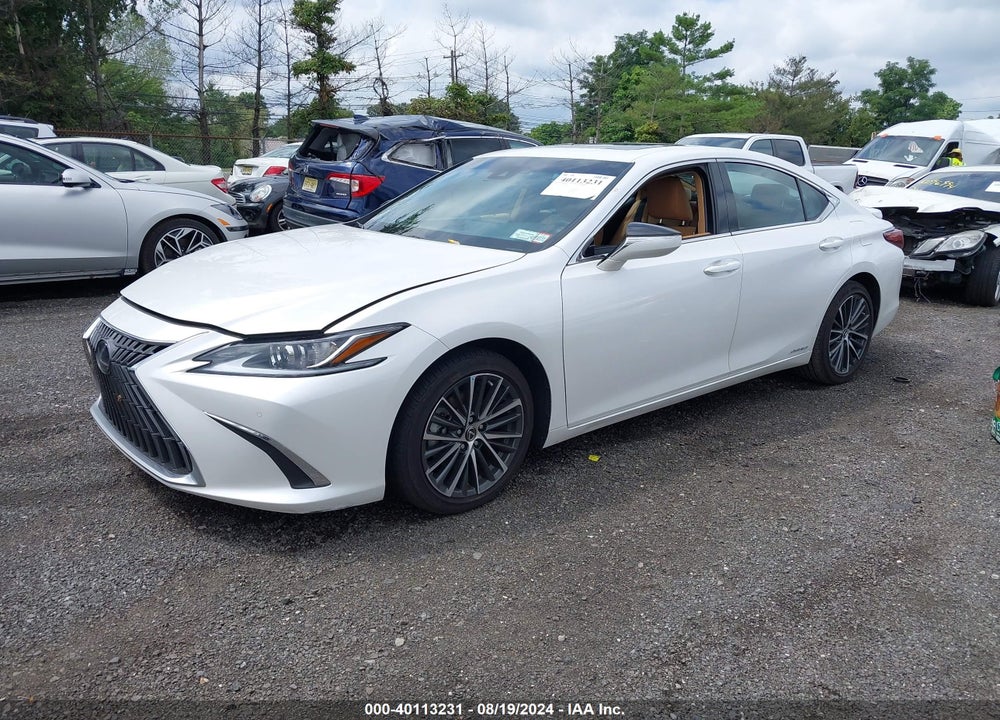 2022 LEXUS ES 300H VIN: 58ADA1C19NU026352