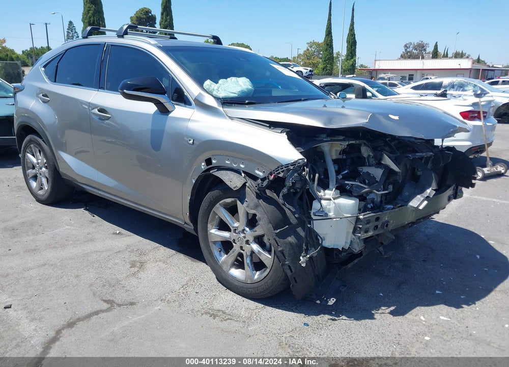 2018 LEXUS NX 300 F-SPORT VIN: JTJYARBZ1J2096093