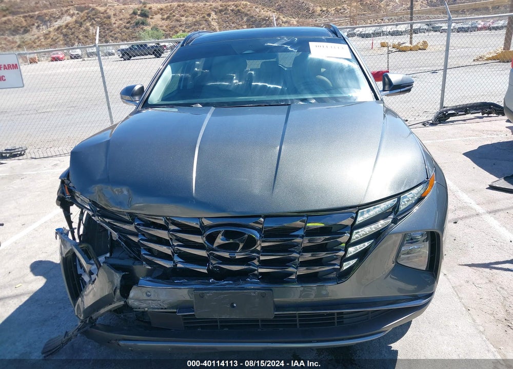 2023 HYUNDAI TUCSON LIMITED VIN: 5NMJECAE2PH207775