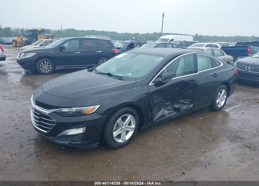 2019 CHEVROLET MALIBU 1LS VIN: 1G1ZB5ST6KF124840