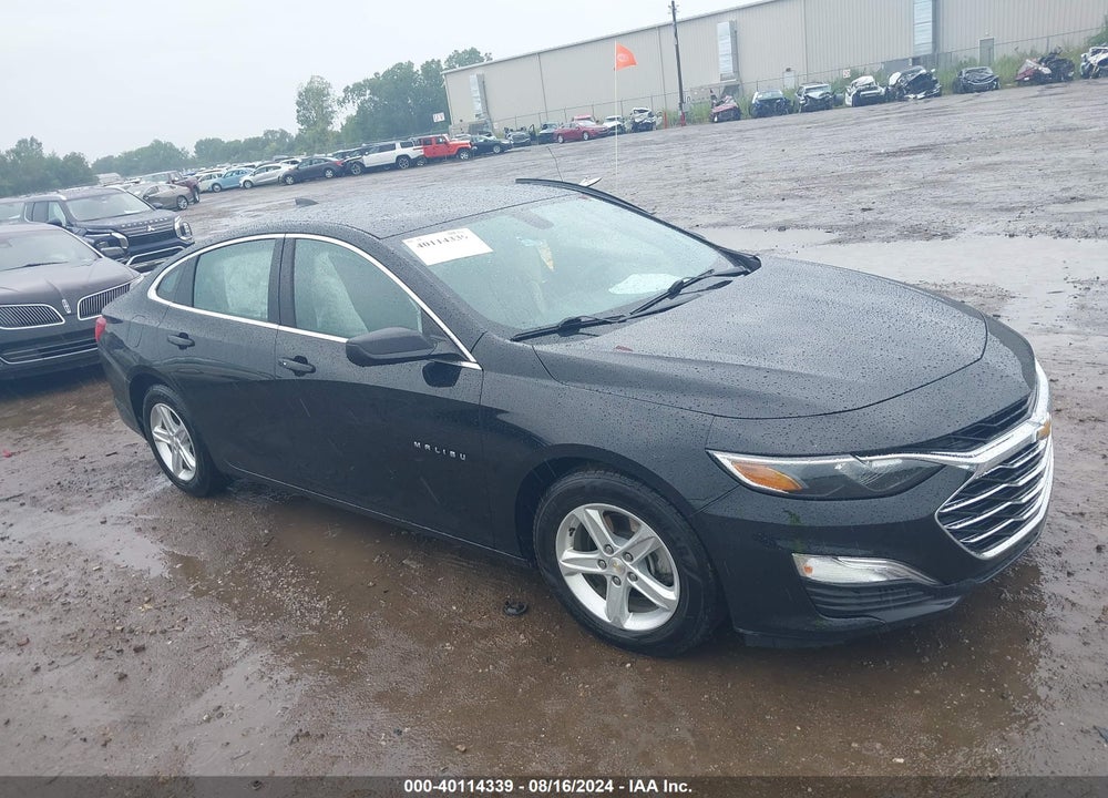 2019 CHEVROLET MALIBU 1LS VIN: 1G1ZB5ST6KF124840