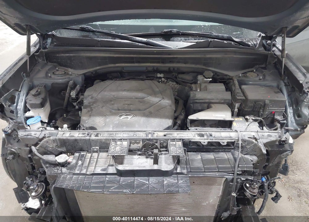 2020 HYUNDAI PALISADE SE VIN: KM8R1DHE1LU046926