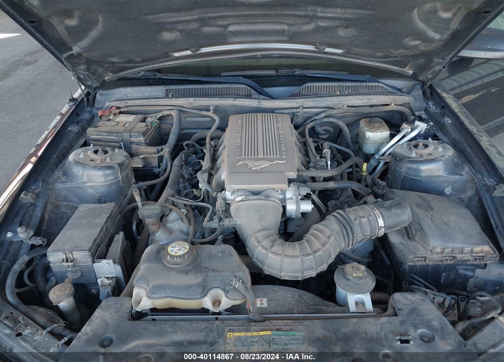 2007 FORD MUSTANG GT DELUXE/GT PREMIUM VIN: 1ZVHT85H175310188
