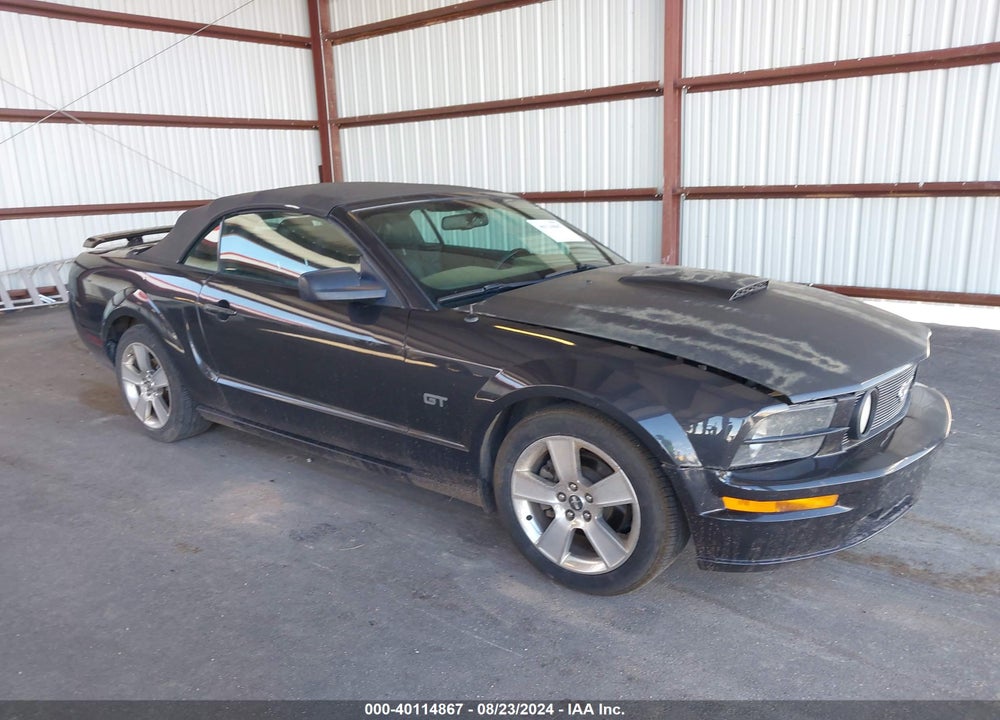 2007 FORD MUSTANG GT DELUXE/GT PREMIUM VIN: 1ZVHT85H175310188