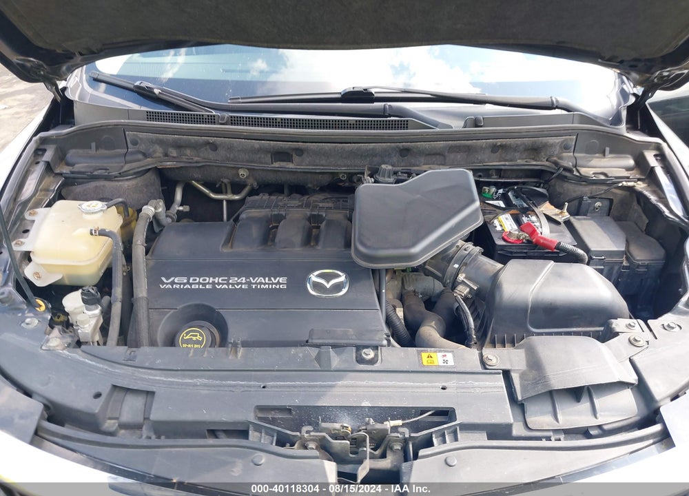 2009 MAZDA CX-9 VIN: JM3TB28V790166393