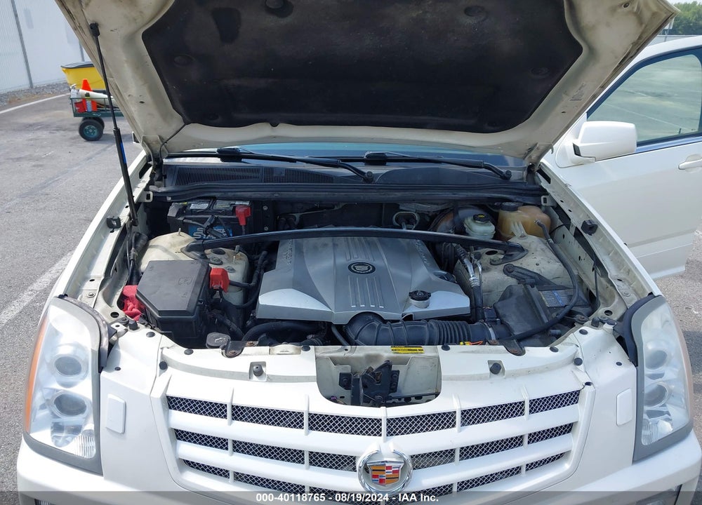 2009 CADILLAC SRX V8 VIN: 1GYEE53AX90117293